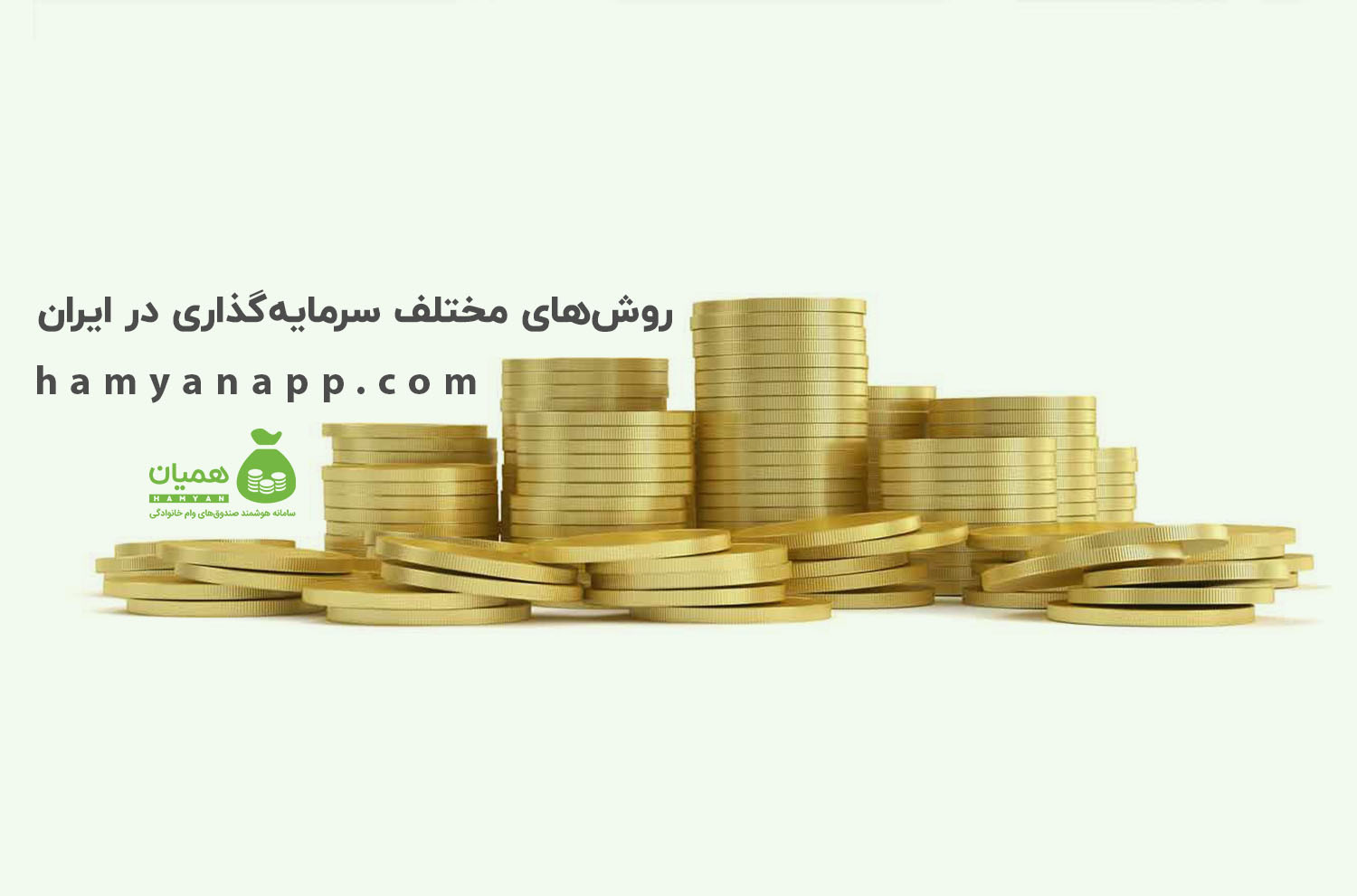 روش‌های مختلف سرمایه‌گذاری در ایران
